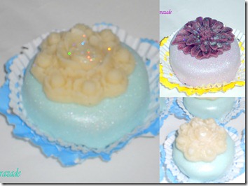 photos pour picasa (4)1