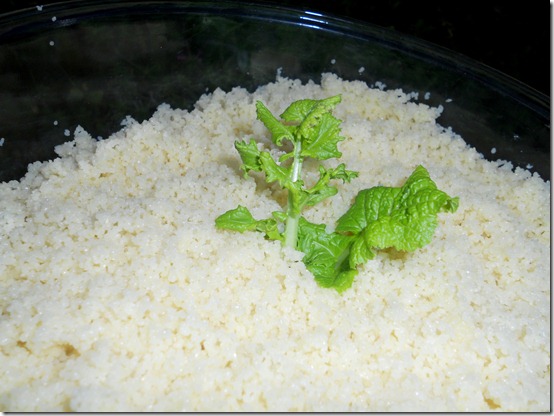 cuisson du couscous