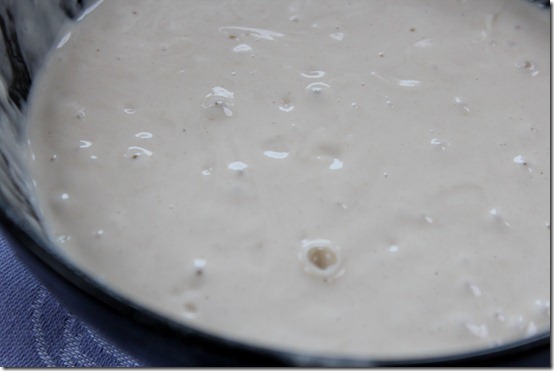 levain maison, levure pour pain,  l'khmira