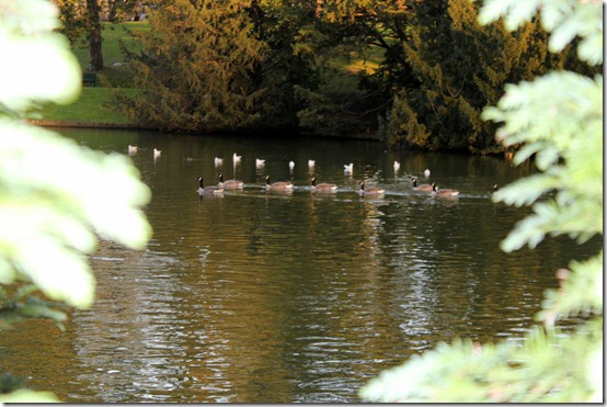 parc barbieux 3