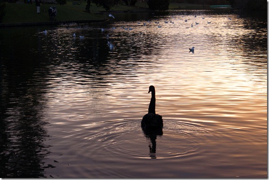 parc roubaix 2