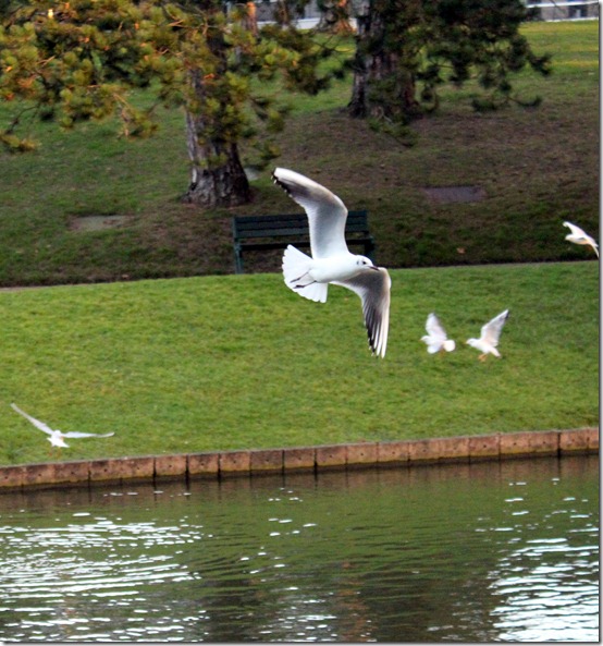 parc roubaix