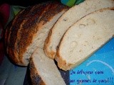 pain-aux-graines-de-pavot.160x1202