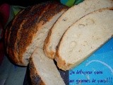 Pain aux graines de pavot