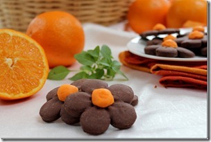 biscuit---l-orange_thumb4