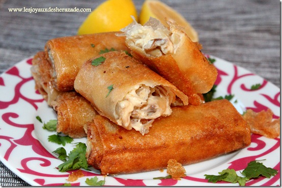 bourek poulet champignon, bechamel bourek poulet champignon, bechamel