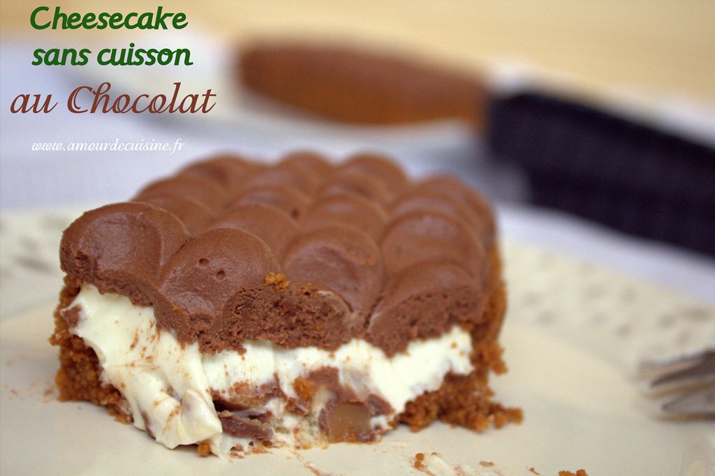 cheesecake-sans-cuisson-au-chocolat-117.CR2_23