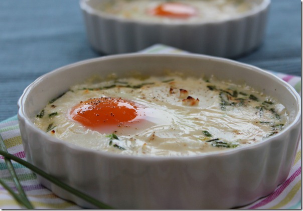 oeuf cocotte chevre , fines herbes