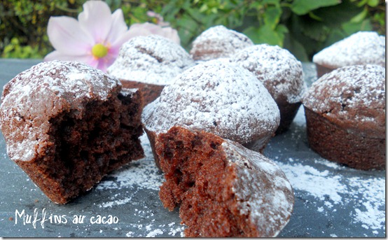 Muffins au cacao