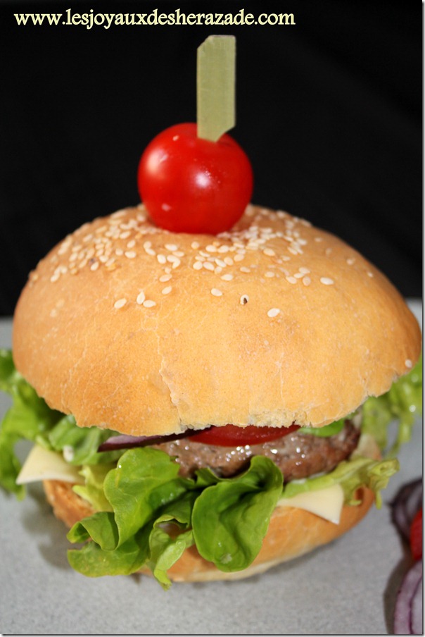 hamburger fait maison , hamburger comme chez mac donald hamburger fait maison , hamburger comme chez mac donald