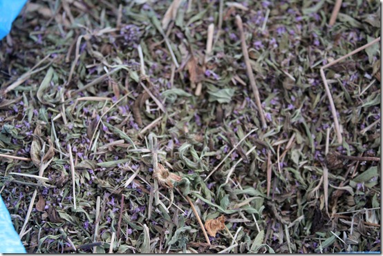 Menthe pouliot / fliou