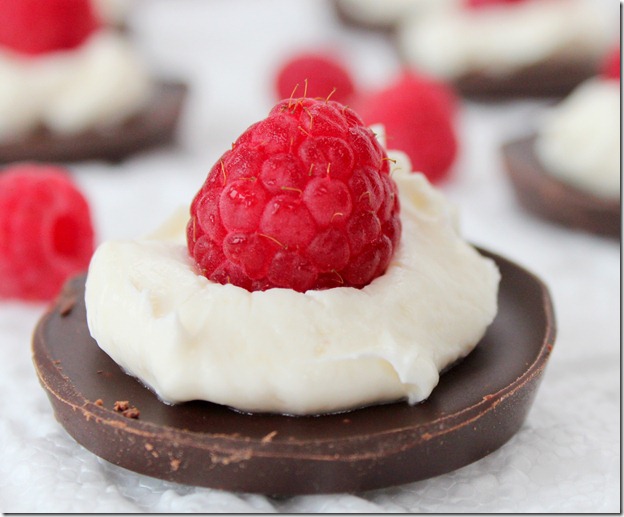 Dessert mignardise de chocolat aux framboises