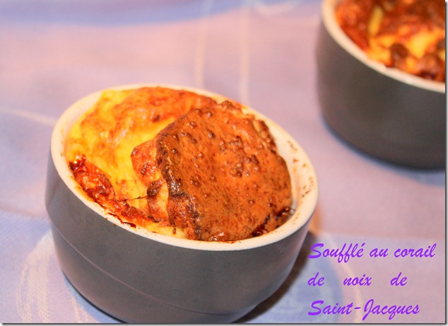 Soufflé au corail de noix de Saint-Jacques