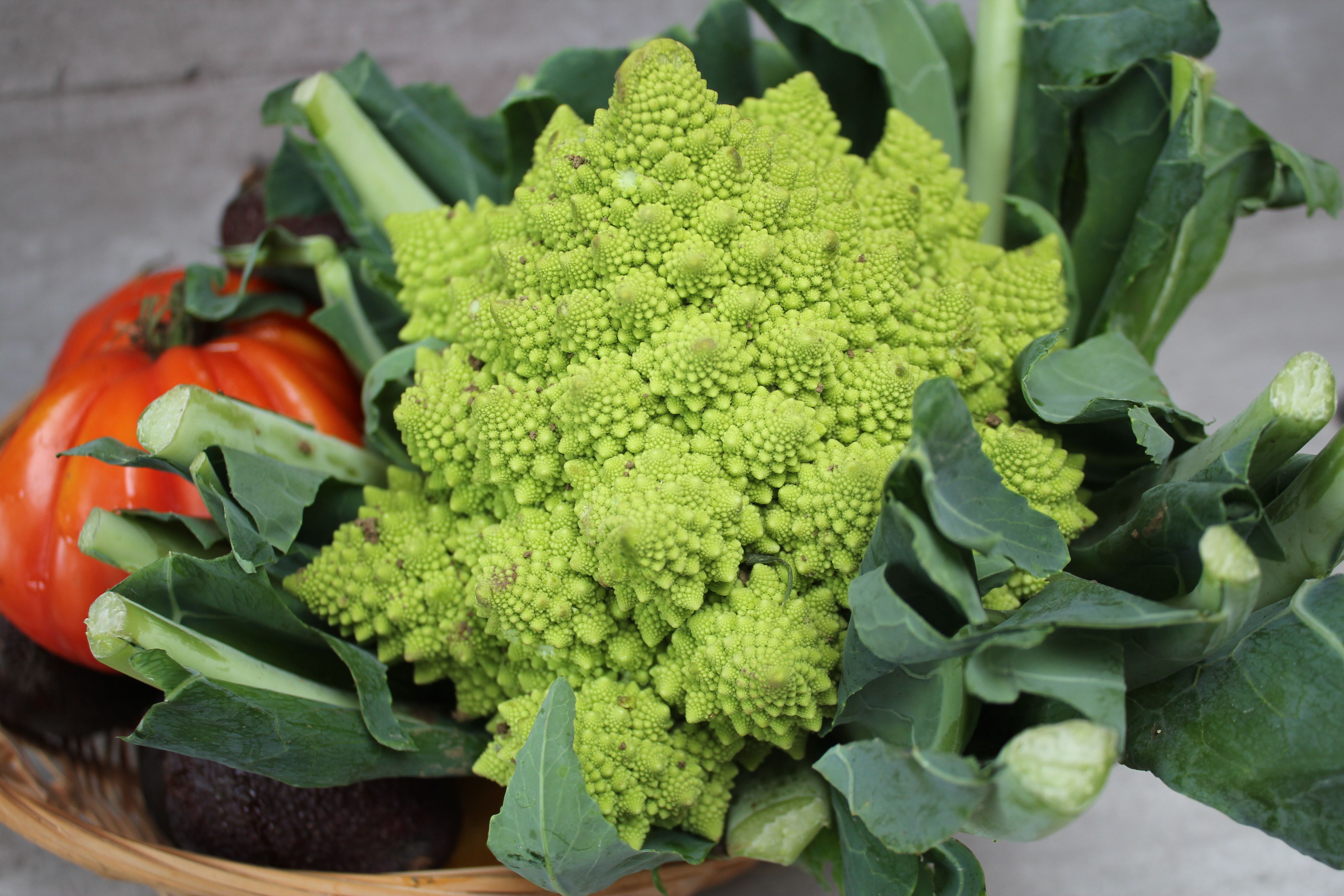 Chou romanesco, comment le cuisiner?