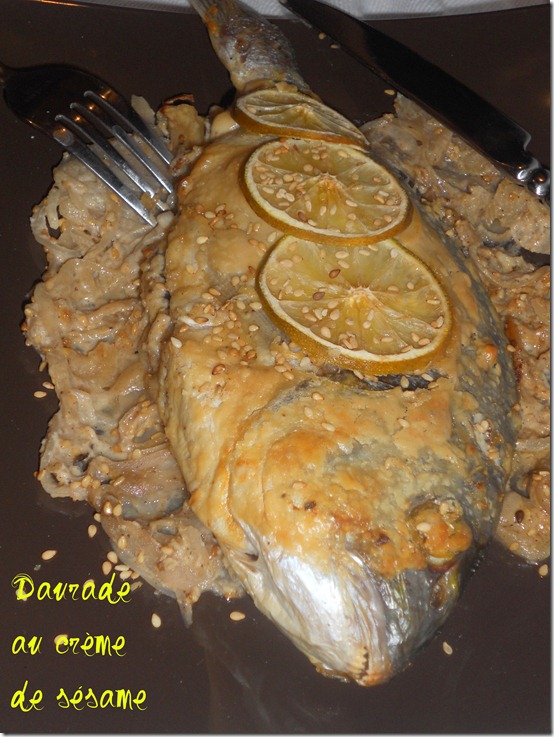 daurade royale