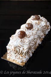 buche pâtissière facile