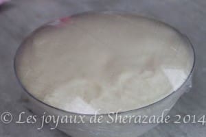 pate à pizza