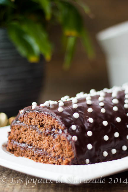 buche au chocolat 