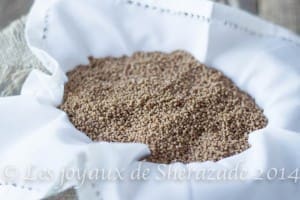 couscous sans gluten