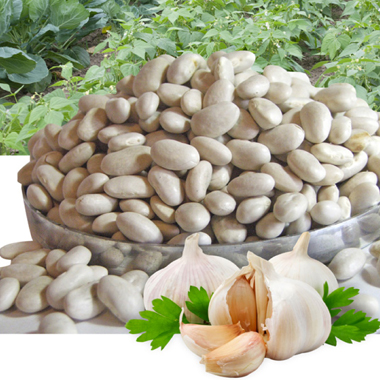 Haricots de soissons