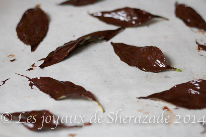 comment faire des feuilles en chocolat 