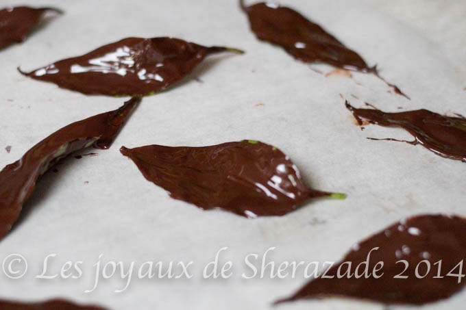 Comment faire des feuilles en chocolat