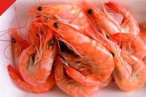 crevettes
