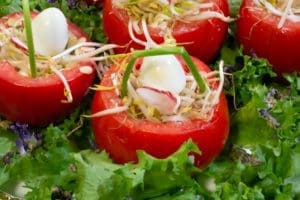 tomates en salade